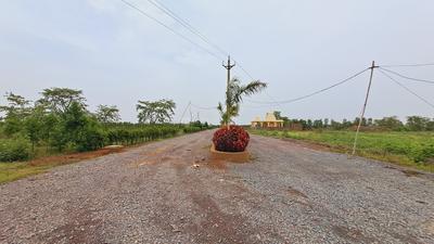 Datrenga Plot View 1