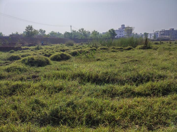 Sector 12 Main Image 1