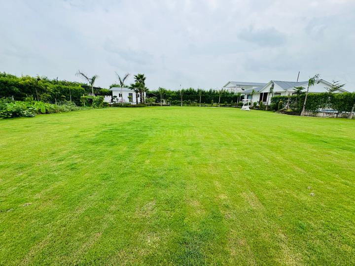 Dkrrish Green Beauty Farms Main Image 1