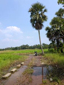 Image of 2880 Sq.ft Residential Plot / Land for sale in Natures Paradise, Joka, Kolkata for Rs. 899999