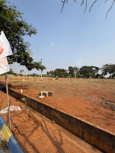 Residential Plot