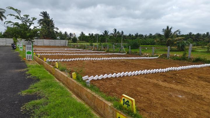 Kns star city Main Image 1