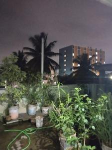 Image of 300 Sq.ft 1 RK Apartment / Flat for rent in Karve Nagar, Pune for Rs. 8000