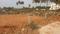 Devanahalli Plots Plot View 2