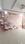 Builders World Developers Delhi World Bedroom 1