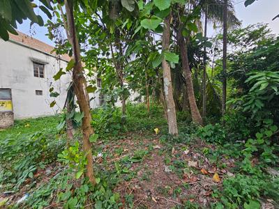 Reliable plot Plot View 1