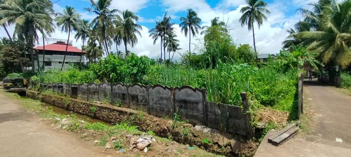 Ayyanthole Main Image 1