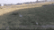 Uberiya Main Image 1