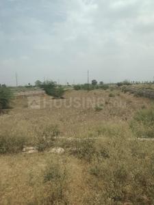 Sector 144 Plot View 1
