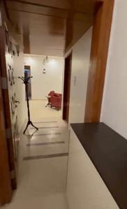 Image of 950 Sq.ft 2 BHK Apartment / Flat for rent in Omicron III, Greater Noida for Rs. 23000