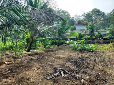 Image of 8712 Sq.ft Residential Plot / Land for sale in Shenoys, Kochi for Rs. 4612500