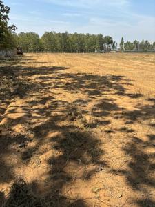 Image of 2600 Sq.ft 3 BHK Villa for sale in Anandapuram, Visakhapatnam for Rs. 18000000