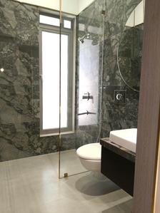 Common Bathroom Image of 1050 Sq.ft 2 BHK Apartment / Flat for sale in Paradigm Anantaara, Borivali West Mumbai for Rs. 28000000