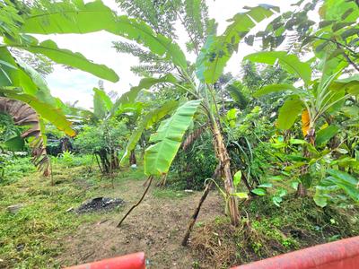 Kakkanad Plot View 2