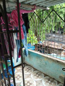 Balcony Image of 650 Sq.ft 2 RK Independent House for sale in Goregaon East Mumbai for Rs. 2900000