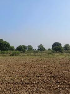 Image of 1133 Sq.ft Residential Plot / Land for sale in Sector 108, Mohali for Rs. 107500000