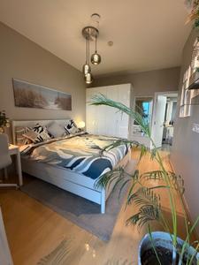 Bedroom Image of 2300 Sq.ft 3.5 BHK Apartment / Flat for rent in DLF One Midtown, Karampura New Delhi for Rs. 95000