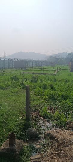 Kalitakuchi Main Image 1