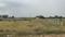 Kalapatti Plot View 2