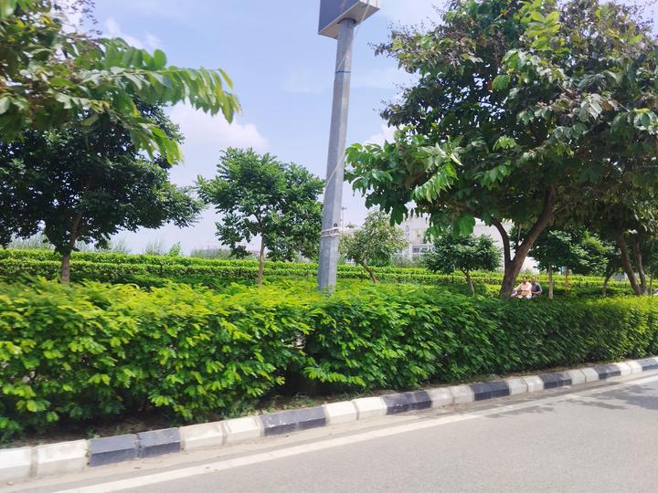 Wave City Residential Plots Main Image 1