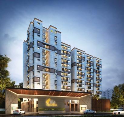 DRA Harmony Main Image 1