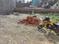 Haripur Main Image 1
