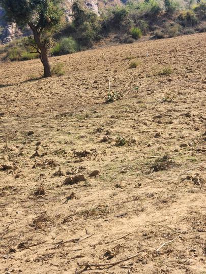 Naugaon Main Image 1