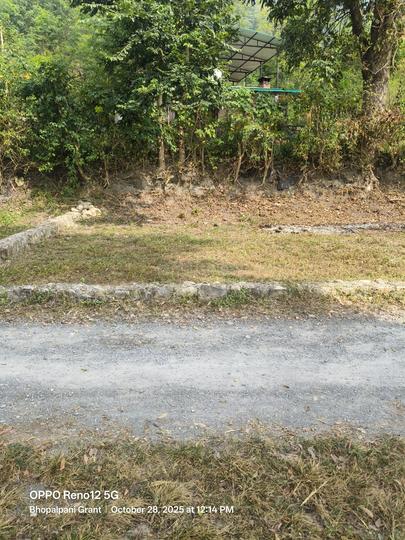 Raipur thano road Main Image 1