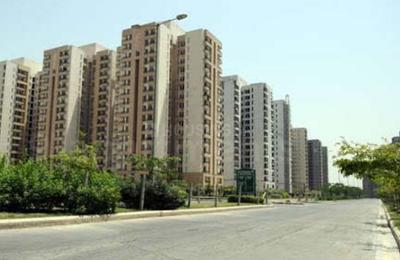 Image of 1650 Sq.ft 3 BHK Apartment / Flat for sale in Jaypee Kensington Boulevard, Sector 131, Noida for Rs. 17500000