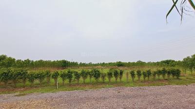 Image of 2000 Sq.ft 2 BHK Farm House for sale in Datrenga, Raipur for Rs. 10500000