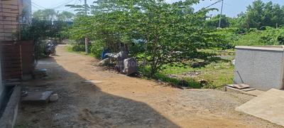Residential Plot