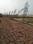 Krishna Enclave Kila Road Meerut Main Image 1