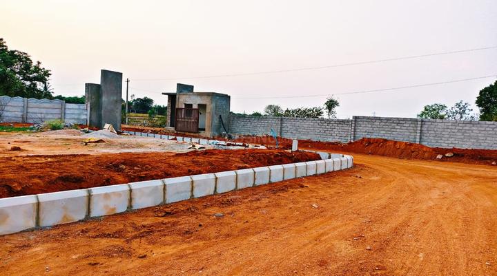 Nature City Main Image 1