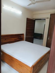 Bedroom Image of 1050 Sq.ft 2 BHK Builder Floor for rent in Sector 43 Gurgaon for Rs. 40000