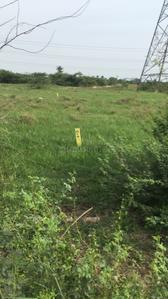 Thamaraipakkam Plot View 1