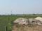 Hardas Bigha Main Image 1
