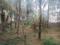 Kulshekar Main Image 1