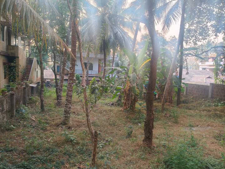 Kulshekar Main Image 1