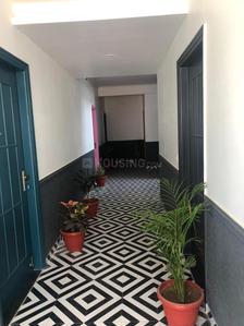 Balcony Image of 550 Sq.ft 1 RK Apartment / Flat for rent in Shyam Nagar Jaipur for Rs. 35000