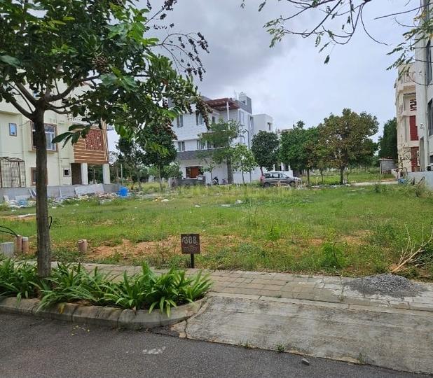 Address The County Address Main Image 1