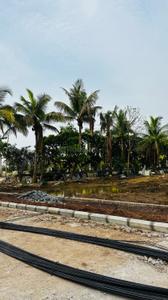 Image of 1800 Sq.ft Residential Plot / Land for sale in Swastik Kalpvriksh, Old Dhamtari Road, Raipur for Rs. 2862000
