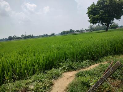 Image of 91800 Sq.ft Residential Plot / Land for sale in Sultanpur Road, Lucknow for Rs. 45000000