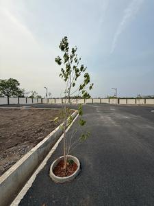Image of 1822 Sq.ft Residential Plot / Land for sale in Kovilpalayam, Coimbatore for Rs. 3305108