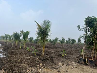 Image of 1500 Sq.ft Residential Plot / Land for sale in Madurantakam, Chennai for Rs. 1500000