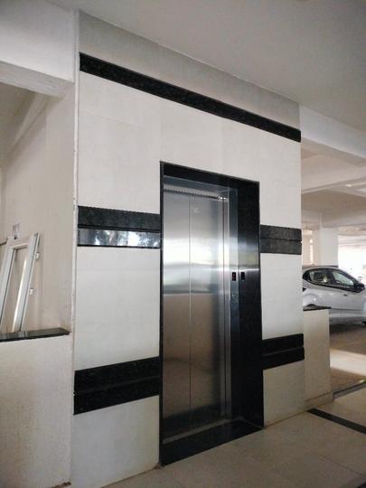 DS Max Synergy Main Image 1