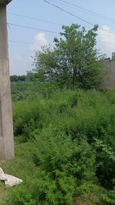 Banur Highway Plot View 1