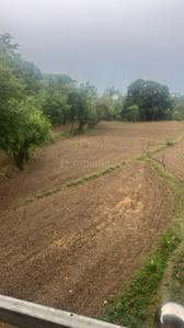 YEIDA Individual Residential Plots Plot View 2