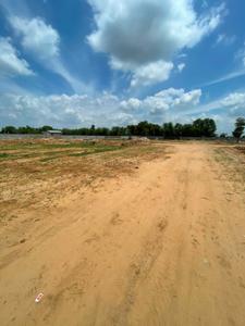 Block B Plot View 1