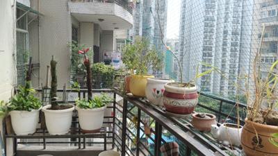 Balcony Image of 1776 Sq.ft 2 BHK Apartment / Flat for sale in Angel Mercury, Indirapuram Ghaziabad for Rs. 16500000