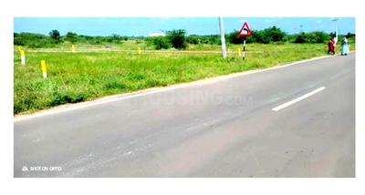 srinivasa nagar Plot View 1